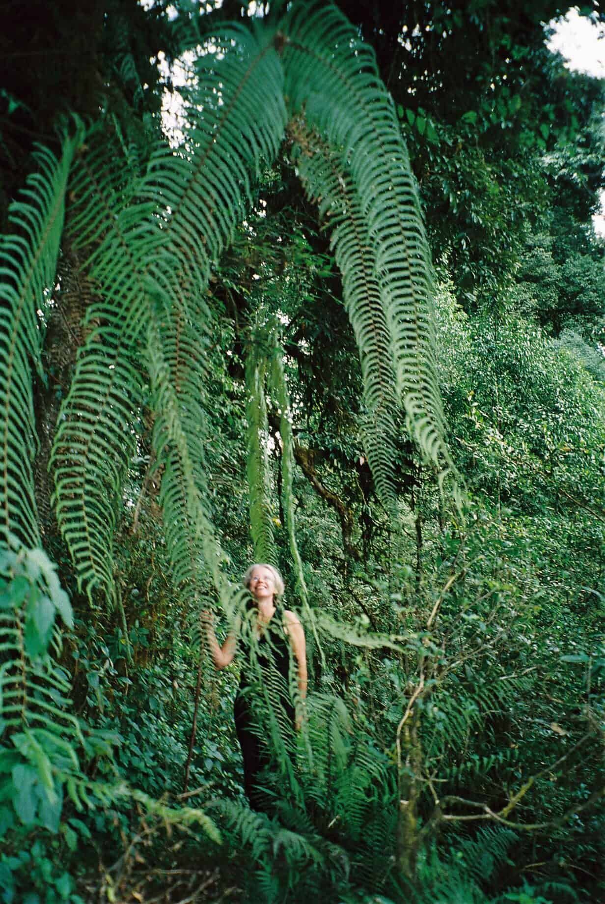 Bamboo Retreat Hotel - image "Urwald-Trekking im Naturreservat Fambong Lho" 21