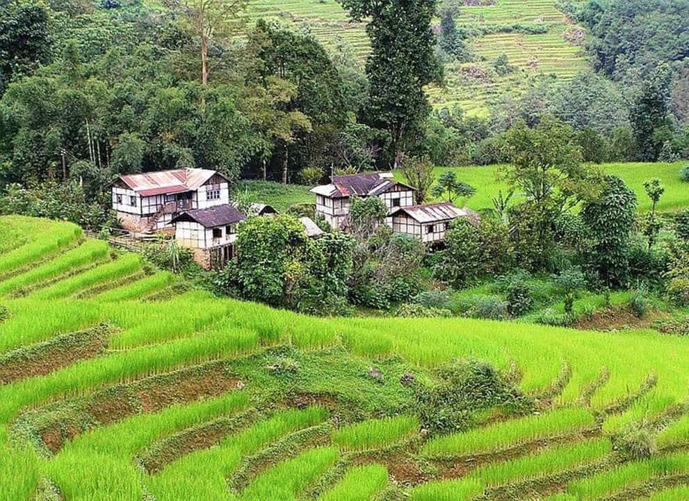 Bamboo Retreat Hotel - image "Ökotourismus Hotspot im Himalaya" 60