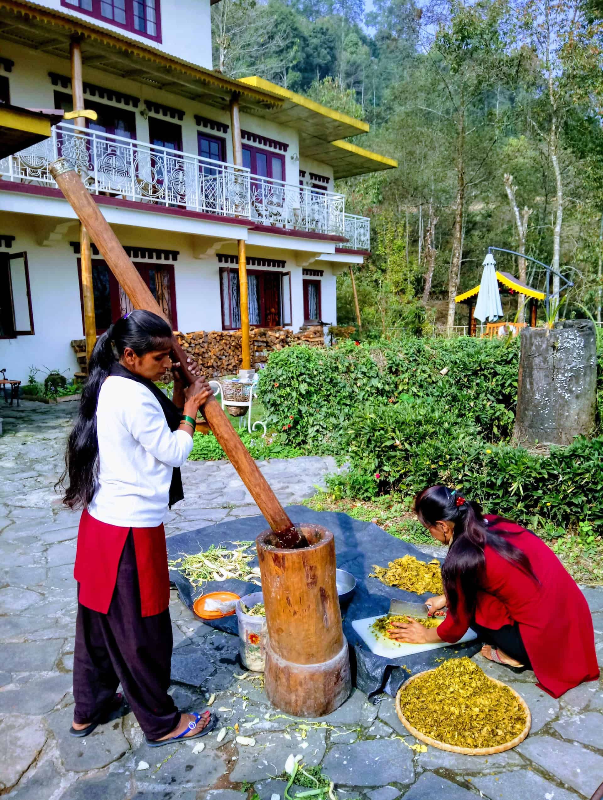 Gundruk-Produktion im Bamboo Retreat Hotel