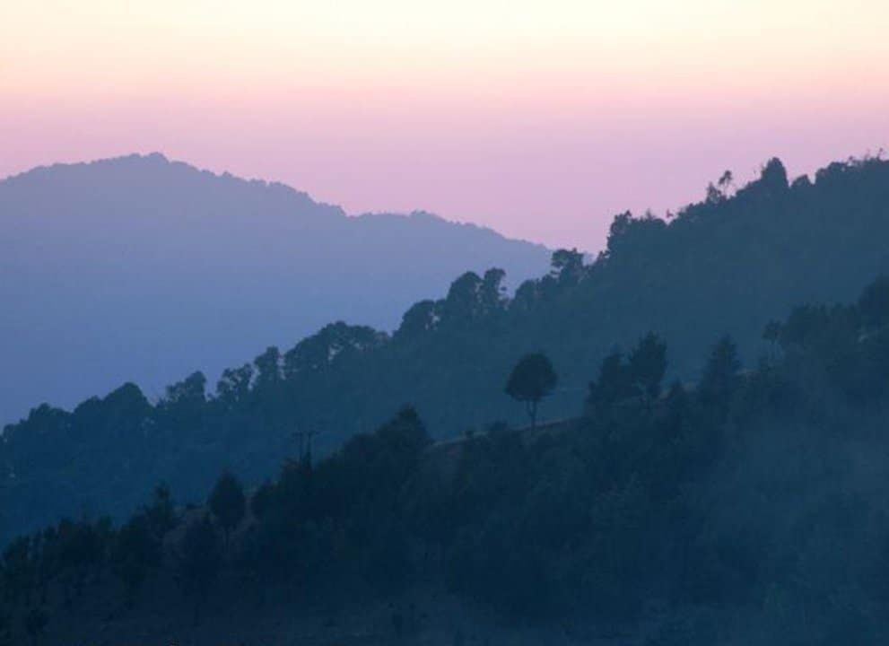 Bamboo Retreat Hotel - image "Beloved North East India" 2