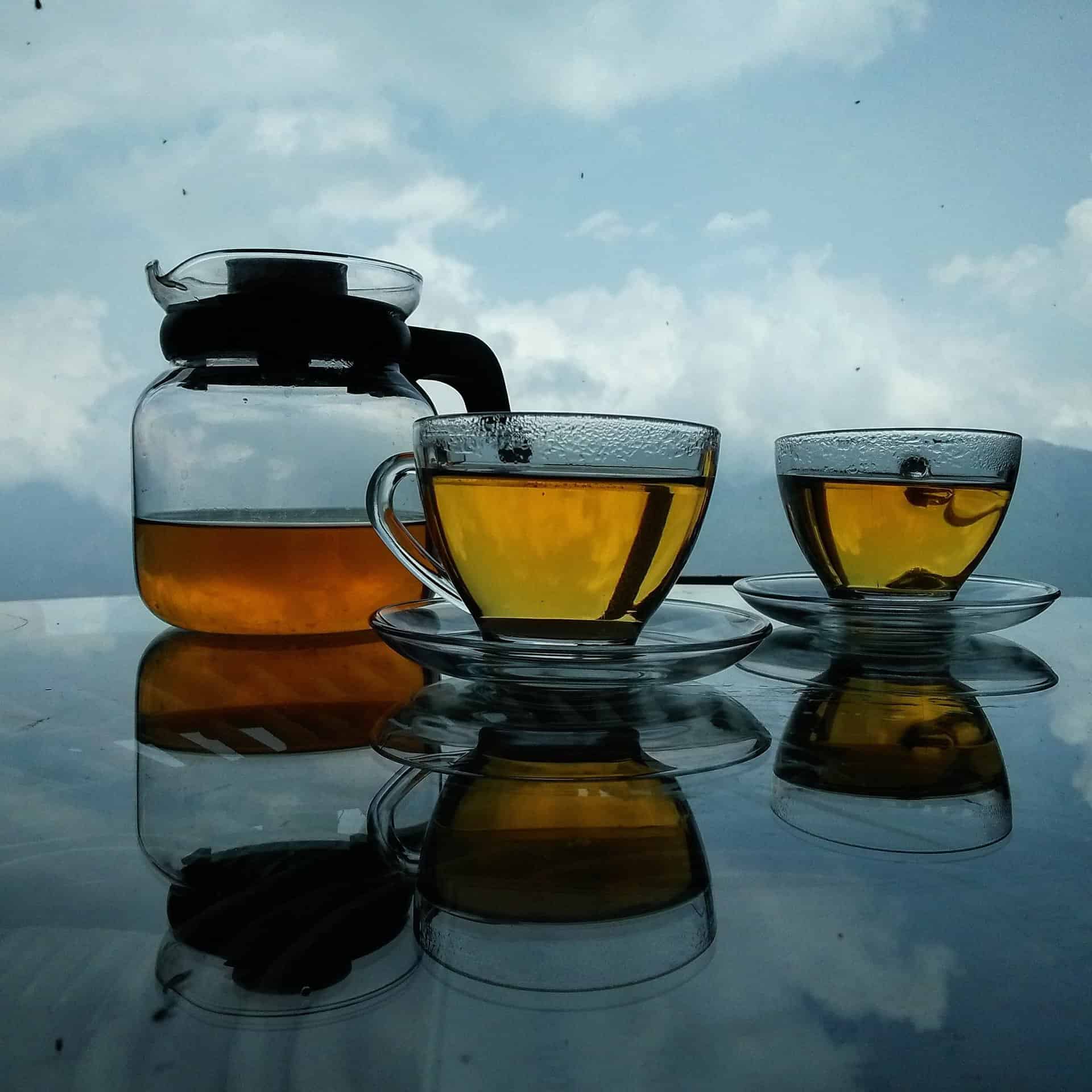 Tea with Himalaya view 