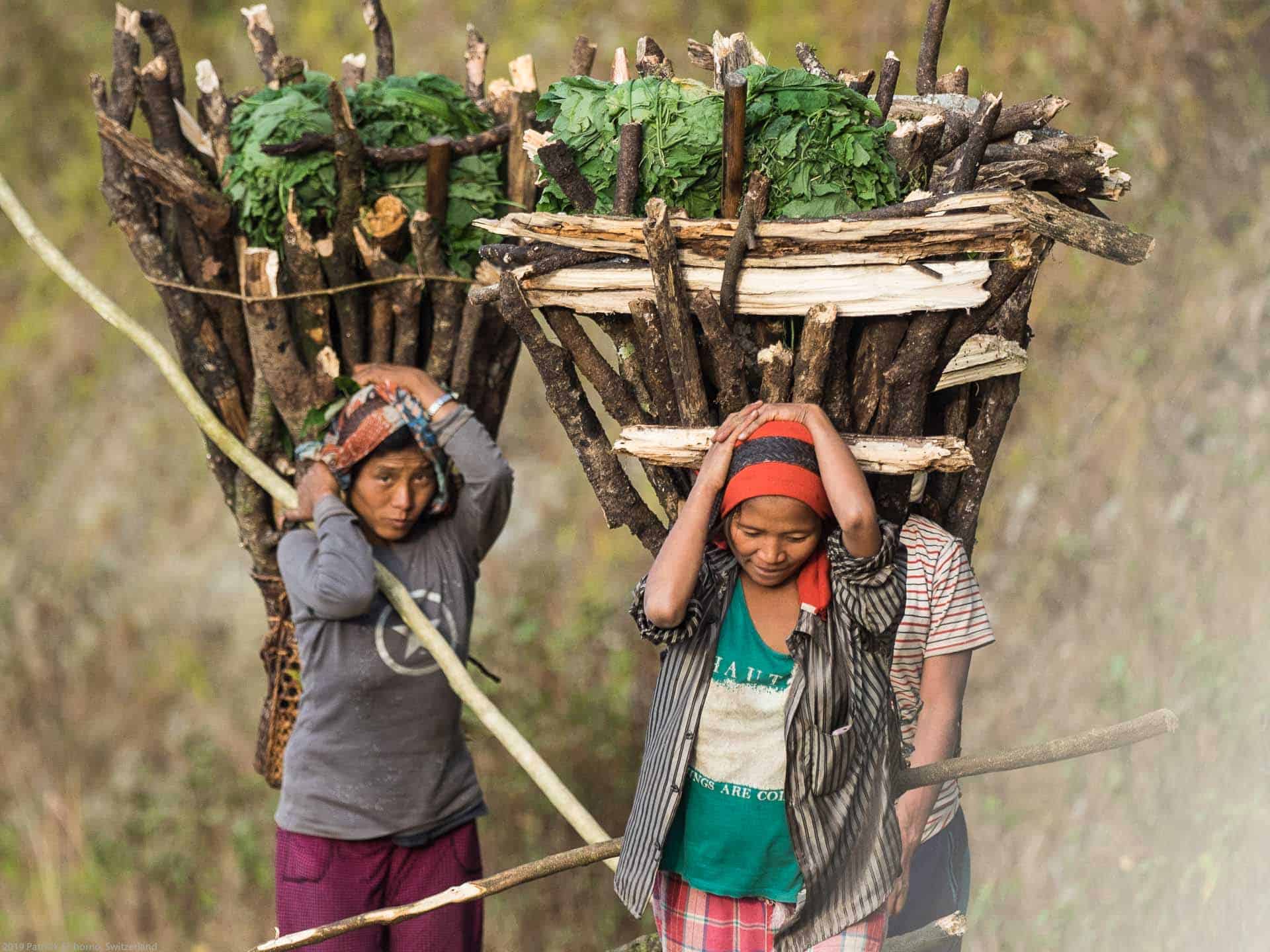 Bamboo Retreat Hotel - image "Nagaland - Reisebericht von Teeplantagen und dem Hornbill Festival - Informationen für die Indien Reise" 426
