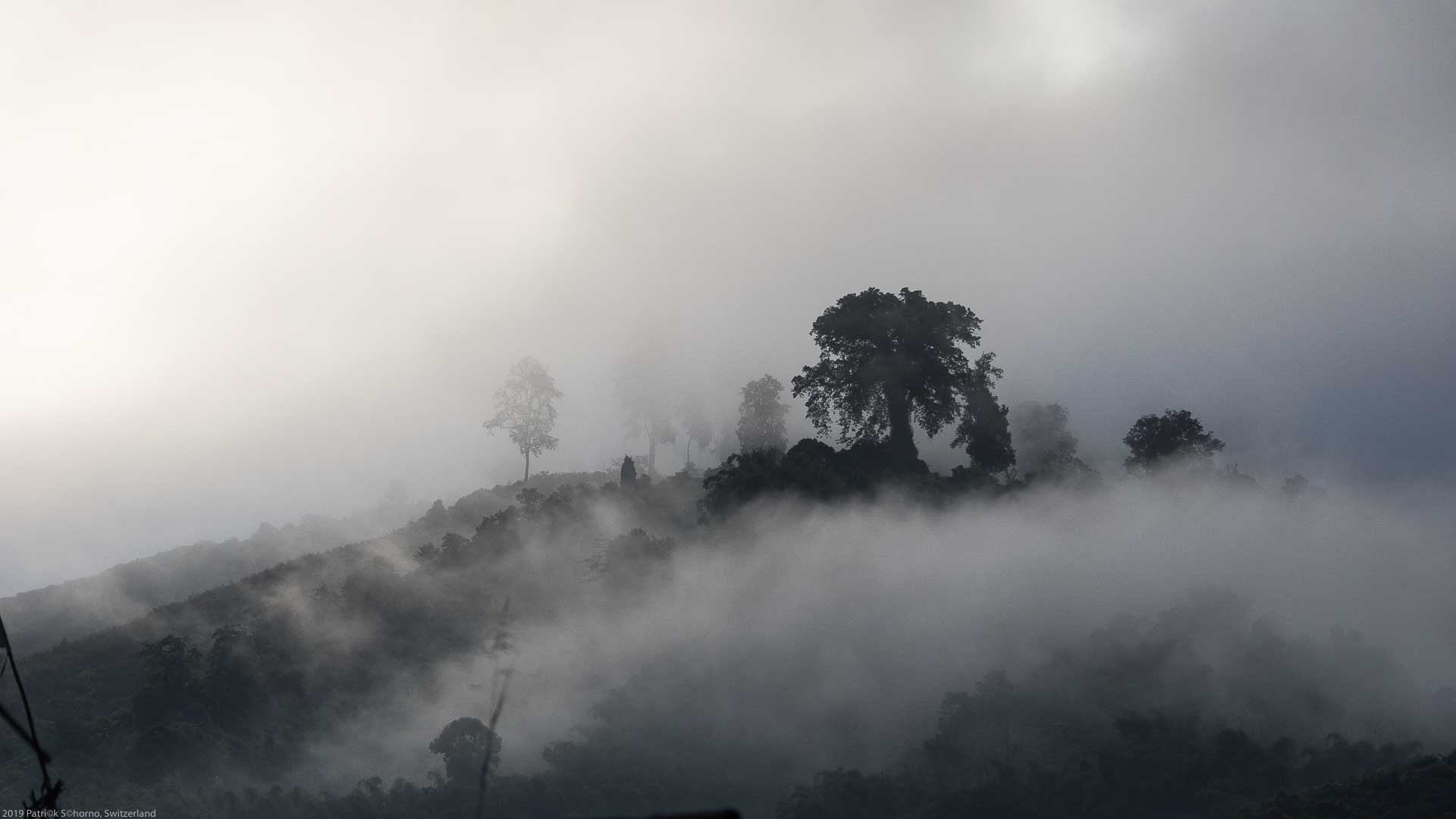 Bamboo Retreat Hotel - image "Reise in das Land des Sonnenaufgangs: Arunachal Pradesh, Indien" 157