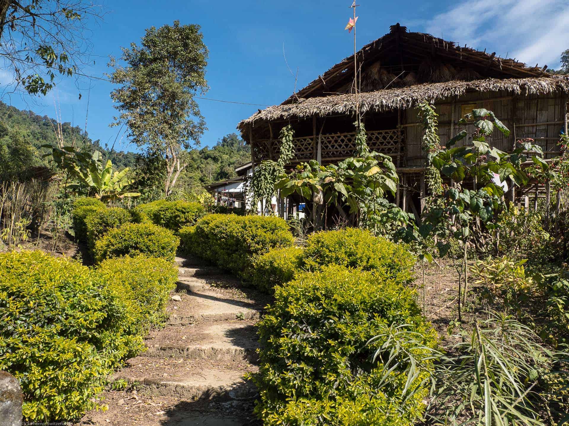 Bamboo Retreat Hotel - image "Reise in das Land des Sonnenaufgangs: Arunachal Pradesh, Indien" 181