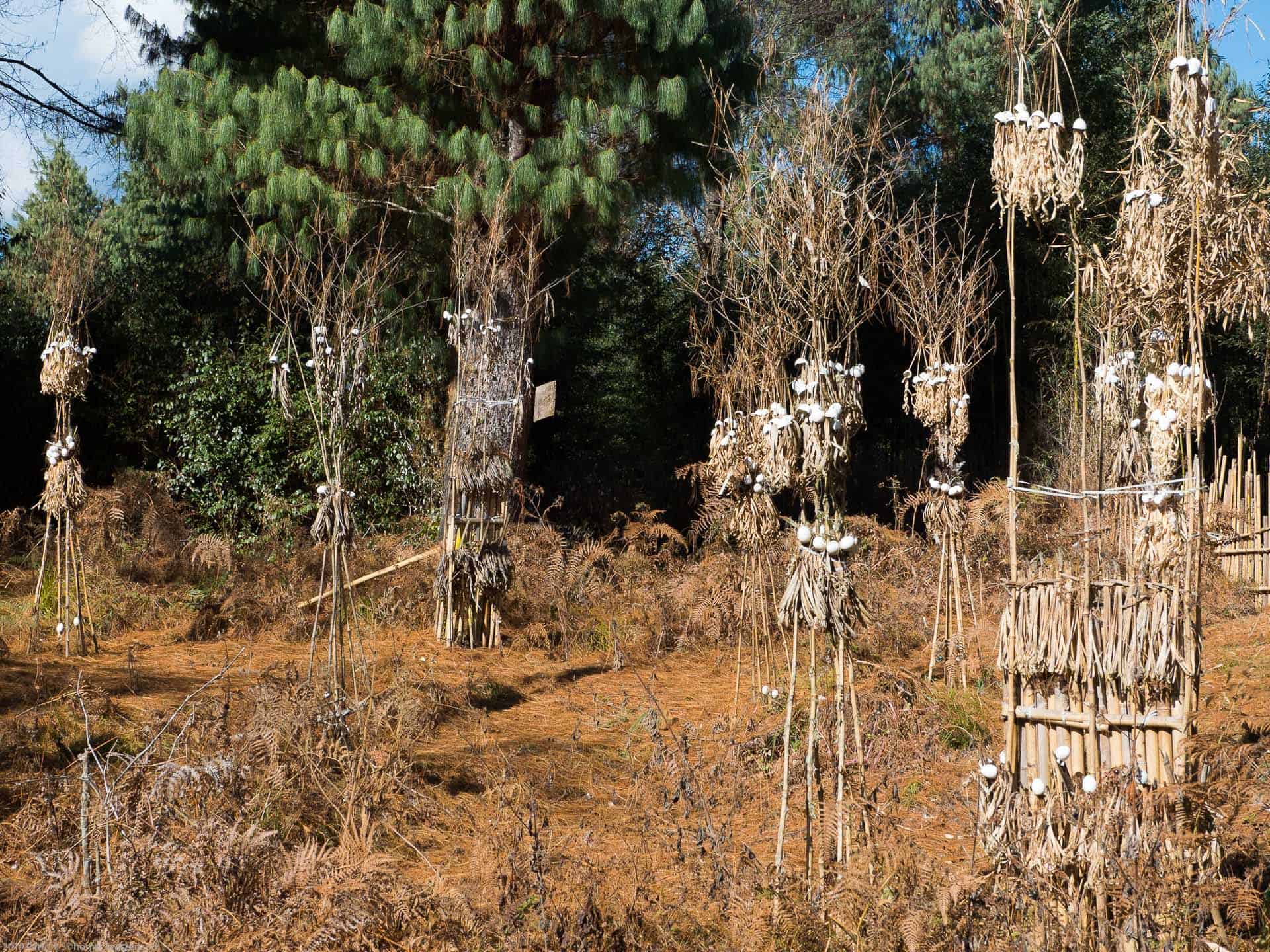 Bamboo Retreat Hotel - image "Reise in das Land des Sonnenaufgangs: Arunachal Pradesh, Indien" 201
