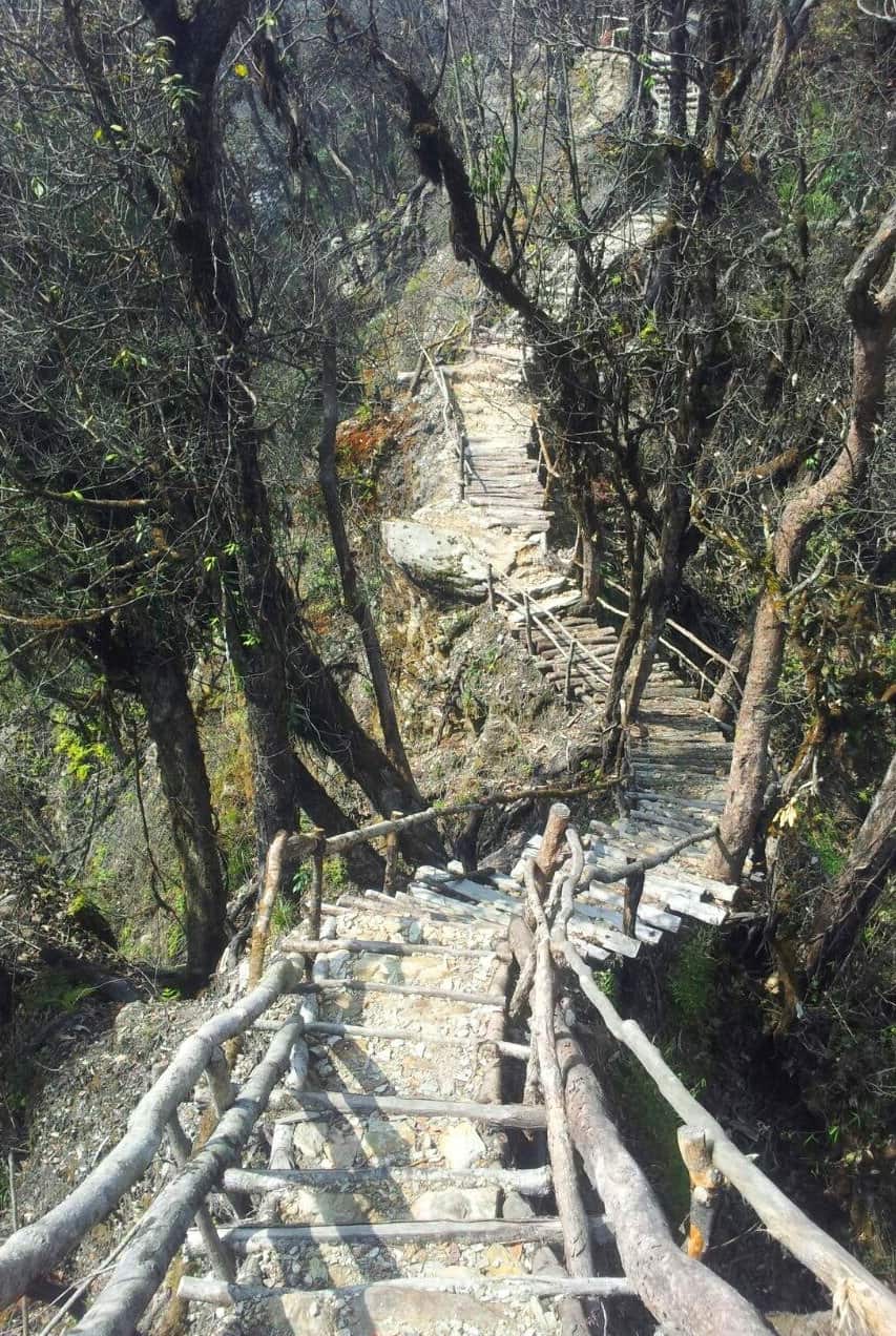 Bamboo Retreat Hotel - image "Jungle Trekking to Viewpoint in Fambong Lho Wildlife Sanctuary" 49